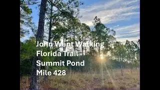 Florida Trail Thru-Hike (Summit Pond - Mile 428)