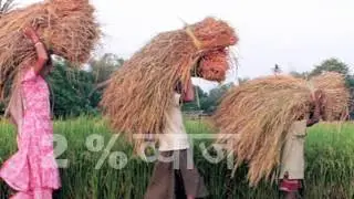 Special crop loan scheme for farmers