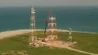 Birds of kuwait  Kubbar Island  طيور جزيرة كبرفي الكويت