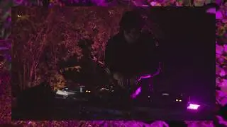 Glassfects - LAT.MT / FOREST EDITION