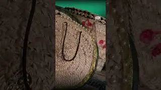 #حرف_أبينية | إبداع من جذور الأرض