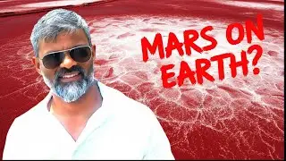 This Red & White Lake Is NOT Natural 😱 | NALCO Red Mud Pond Odisha | Offbeat India Travel