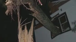 Storm damage | Suspected tornado damages business, homes across Georgia