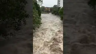 Mithi River Situation | Mumbai is Not Ready for This 😨