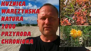 Kuźnica Warężyńska Natura 2000 Przyroda Chroniona