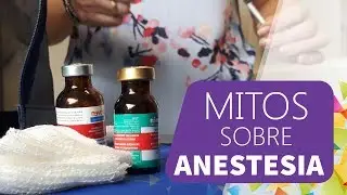 5 Mitos mais comuns sobre ANESTESIA em cachorros e gatos