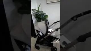 итальянская коляска Inglesina Electa  (инглезина электа )