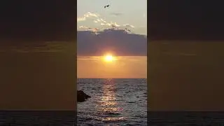 #sunset #jetty