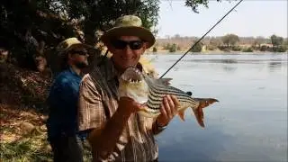 Tiger Fishing the Zambezi - FISHIN ADDICT GOES WILD