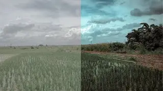 How to Shoot LOG Video With Any Phone || FREE 🔥🔥