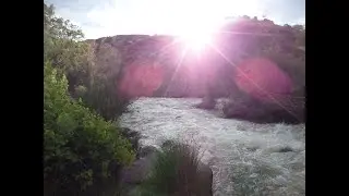 ((Lets go hiking with Williebob)) Pilar NM