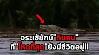 จระเข้ยักษ์ในตำนาน
