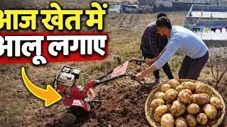 vlog 8/365 खेतों में आलू लगाने का टाइम आ गया 