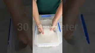 Effect of Diastatic Malt