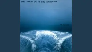 We Only Go In One Direction