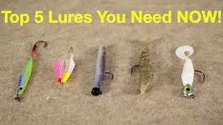 Top 5 Fishing Lures You Should Have in Your Tackle Box🔥