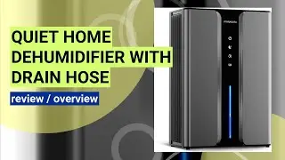 Quiet & Efficient: Reviewing the 95oz Home Dehumidifier for Bedrooms & More!
