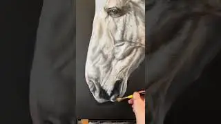 Oil Painting of a Horse SERENITY by artist Nikki Carr
