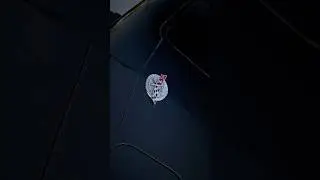 Corvette одна из лучших машин на фестивале #corvette #cars #video #Rawvideo