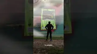 Сможете ли вы найти малиновку (сложность = экстремальная)? #pokemon #wildlife #pokedex #nature #b...