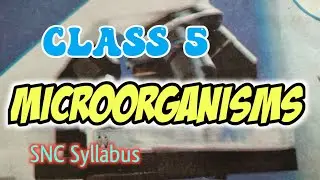 Class 5 Science Chapter 2|Microorganisms| Science Class 5 Unit 2 Exercise/Class 5 Science
