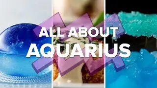 All About Aquarius • Tasty Recipes
