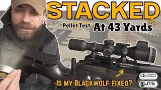 Is My Daystate Blackwolf Finally Fixed? | 43 Yard Pellet Test