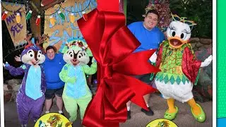 A Plus Size Animal Kingdom Christmas Adventure at Disney World