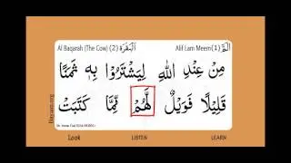 Learn Quran in English translation word by word learning, Al Baqarah,  Cow, Surah 002, Verse 079,