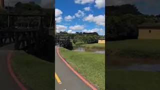 Parque Barigui Ctba