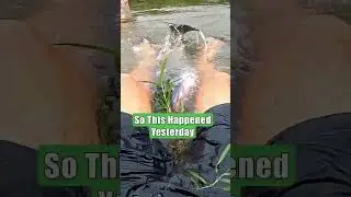 Crazy Zombie River Catfish Jumps Right Into My Lap: River Fishing Fun: FATKAT Best Catfishing Rigs!