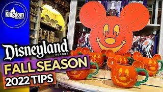 Making The Most of Disneyland Fall 2022 | Tips & What You Need To Know