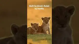 Built by blood. Ruled by loyalty.