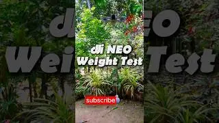 DJI Neo Weight Test