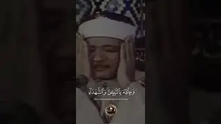 [ وَأَشْرَقَتِ الْأَرْضُ بِنُورِ رَبِّها ]