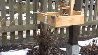 Vogelfutterspender leicht gemacht !!