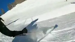 Dieliving on the hill, monoski