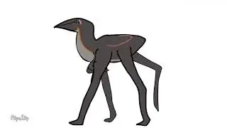 Birrin animation