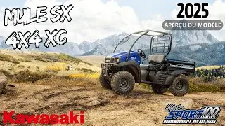 Kawasaki Mule SX 4X4 XC 2025 | Walkaround