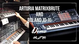 Arturia MatrixBrute and Roland JD-Xi Cool Demo - Raymond Lake