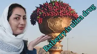 Discover Iran&rsquo;s Secret Red Jewel