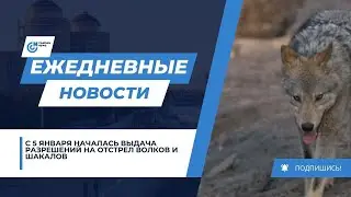 ISSUING PERMITS FOR THE KILLING OF WOLVES AND JACKALS BEGAN FROM JANUARY 5