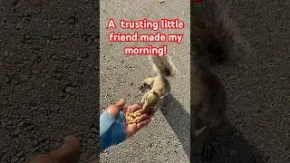 #NatureMoments #TrustingFriend #SquirelLove #MorningMagic #birdschirping