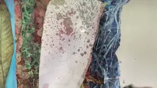 Collage on Canvas