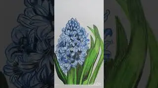 Hyacinth flower💙# trending # pencil colour #viral #art  #kalakar_sisters❤️#prettyflower #drawing