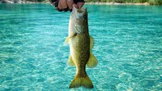 I Didn't Expect THIS... My First Ever Large Mouth Bass