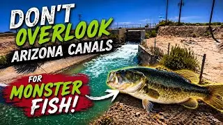 Don&rsquo;t Overlook Arizona Canals for Monster Fish!