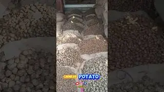 சைனீஸ் பொட்டோட்டா (சிறுகிழங்கு) 🥔Tenkasi Special Yam #shorts #trendingshorts