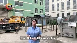 Eruis Poultry Slaughter Line &ndash; Complete Plug & Play Processing System (300&ndash;3,000 Birds/Hour)
