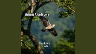 Shadow's Flight